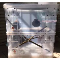 在飛比找蝦皮購物優惠-▪️家樂鼠工作室▪️寵物整理箱改造▪️K036雙層睡鼠箱▪️