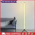 Useful Modern Standing Lamp USB Charging RGB Corner Floor Lamp for Gaming Room