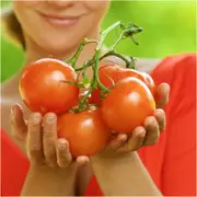 Tomato - Red Russian seeds