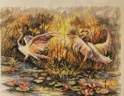 Cross stitch painted AIDA canvas tapestry PA1769 Flamingo Dance 15"x19"