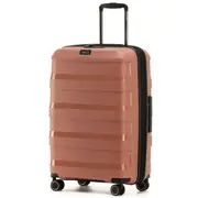 Tosca Comet 67 cm Hardside Medium Suitcase - Mocha