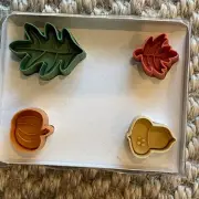 Vintage Williams Sonoma Fall Pie Punches Impression Cookie Cutters Pumpkin Leaf
