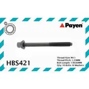 Payen Cylinder Head Bolt Set - HBS421