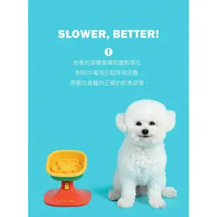 PETHROOM 高度調節慢食碗組 貓用 犬用 貓狗通用 食碗 慢食碗 寵物碗 花造型 韓國
