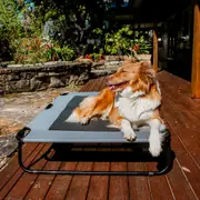 Charlie's Adventure Foldable Travel Trampoline Dog Bed Grey (Large, Extra-Large)