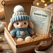Mini Bunny Hug Easter Gift Bunny Plush Pocket Hug Rabbit with Positive Cards