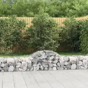 Arched Gabion Basket 200x50x40/60 cm Galvanised Iron vidaXL