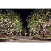 Save 10.01%! Manila by Night: Discovering City Highlights with Intramuros