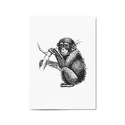 Monkey Baby Drawing Animal Jungle Wall Art