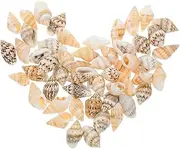 50pcs Realistic Miniature Shells for Crafting DIY Beach Props for Micro Landscapes Decorative Shells for Beach Decor and Art Projects