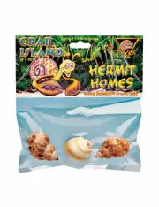 T-Rex Hermit Crab Home Small Shell (3 pk)