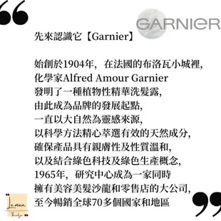 【現貨】🇫🇷法國品牌 Garnier卡尼爾『蜂蜜系列』300ml、370ml📣滋潤.洗髮.潤髮.護髮
