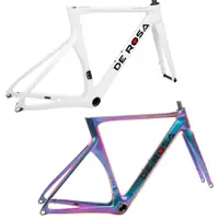 在飛比找蝦皮商城優惠-DE ROSA SK車架組 碳纖維 碟煞 -崇越單車休閒館