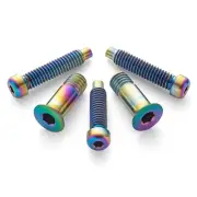 Oil Slick TITANIUM Rinbow Bolt Kit for Shimano XTR/XT/SLX Rear Derailleurs