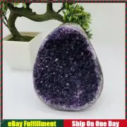 Extra Large Natural Amethyst Cluster Cut Base Quartz Crystal Specimen Reiki Rock