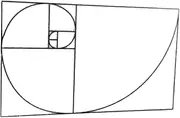 Golden Ratio Acrylic Proportional Divider Artist Drawing Tool Fibonaccis Composition View Finder,Fibonaccis Composition Viewfinder for Photography, Painting, Drawing