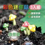 【3種菇菇任意擺 X 草葉日和】盆栽裝飾 生態瓶 彩色迷你菇3入組  多肉盆栽 苔蘚 香菇 生態缸 多肉植物 微景觀