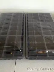 Seed Starting Kit, 2 Seed Trays, 2 Inserts, 2 Dome Lids, Seedling Starter Kit