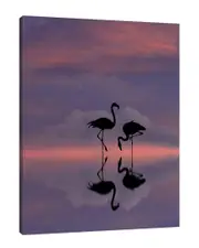 Beyoutiful by Dominic Liam