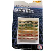 Edu Science 24 Specimen Slide Set (6 Prepared Slides with Storage Tray