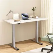 1 Electric Standing Desk Artiss Ergonomic Sit Stand Computer Desks 120cm
