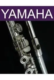 在飛比找Yahoo!奇摩拍賣優惠-【金聲樂器】Yamaha YFL482 開孔 直列 純銀 長