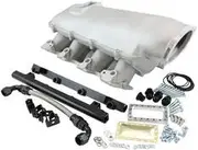 Aeroflow GM LS Modular Intake Manifold Cathedral Port Low Rise EFI Natural Aeroflow - AF6063-5000