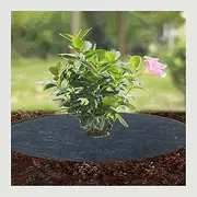 10pcs Tree Protection Mats Ecological Control Cloth Mulch Ring Round Plant Cover, for Indoor Outdoor Gardens (Size : 25cm)