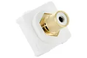 RCA White Female Plug for Clipsal Wall Plate Wallplate DIY Home Theatre