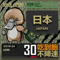 在飛比找momo購物網優惠-【鴨嘴獸 旅遊網卡】日本eSIM 30日吃到飽 高流量網卡(