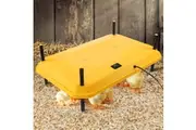 Chick Brooder Heating Plate Warmer Chicken Coop Brooding Heater Poultry Duckling Chook 40x60cm 40 to 50 Chicks Adjustable Height