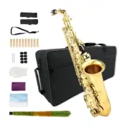 Alto Saxophone Eb - Complete Beginner Saxophone Kit with Case and Accessories