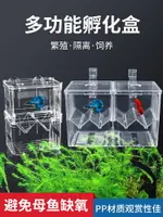 魚缸孵化盒孔雀魚繁殖盒缸外用小魚鳳尾金魚幼魚產房孔雀魚繁殖箱