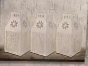 Recollections Christmas 3 Paper Lanterns Deer Tree Snowflake Die Cut Craft Kit