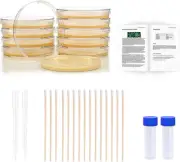 Bacteria Science Kit - Top Science Fair Project Kit. Prepoured Lb-Agar Plates an