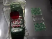 ZIP LOCK bags printed 25 x 25 leaf design
