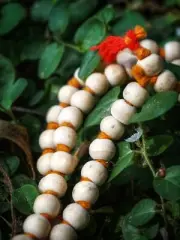 100% Natural Handmade 108 beads Tulsi Jaap mala, Tulasi Choker,Prayer Necklace