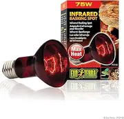 Exo Terra Infrared Basking Spot Light Bulb R20 75 W Socket E27 Pack of 1