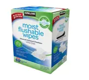 Kirkland Signature Moist Flushable Wipes 632 Ultra Soft Wet Wipes Cleaning 2024