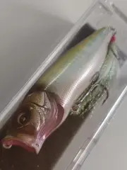 Megabass Ito Pop Max M Fishing Lure Topwater Bait Hasu Color Used