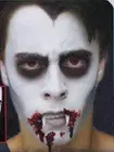 Halloween, Cosplay Vampire Makeup Kit, Fangs, Fake Blood Capsules #8394