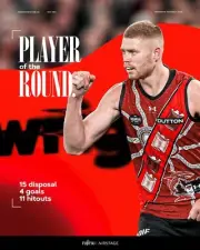 ESSENDON BOMBERS AFL FOOTBALL TEAM PLAYERS POSTER,BARGAIN,2