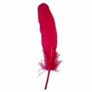 Goose Pointer Feathers 10 grams - Cerise