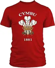 [FunkyShirt] Cymru Welsh Retro Rugby Crest T Shirt - Red Three Feathers Rugby Shirt - Active/Casual Wear