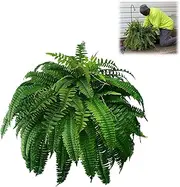 Artificial Boston Fern, Artificial Ferns for Outdoors 48 Inch 50 Leaves, UV Resistant Simulation Boston Fern for Porch Window Home Garden Decor (1)