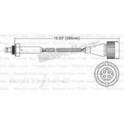 PAT Oxygen/Lambda Sensor Pre-Catalytic Converter/Manifold - EGO-232