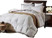 White Goose Down Comforter Queen Size, 700 Fill Power Premium Fluffy Down Duvet Insert, Lightweight All Season Warm Comforter, Hotel Feather Bed Double Comforter with Corner Tabs,220x240cm