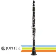 Jupiter JCL710NA ABS Resin Body .577" Bore Matte Finish Clarinet with Case