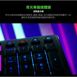 RaZER 雷蛇 雨林狼蛛 ORNATA V3 RGB 機械 薄膜式 有線 電競鍵盤