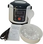 Qianly Electric Rice Cooker for Car and Truck - Mini Auto Cooking Machine for Porridge, 12V
